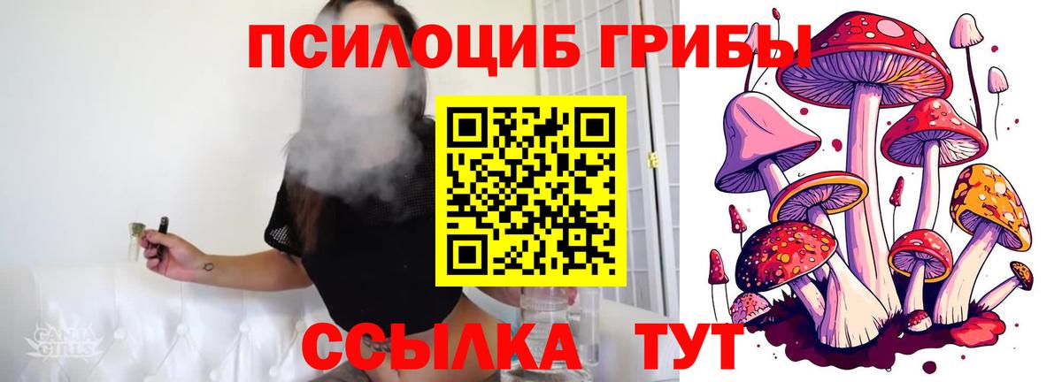 Ялта  Галлюциногенные грибы Psilocybe  Вход с VPN 